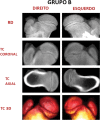 Fig. 8