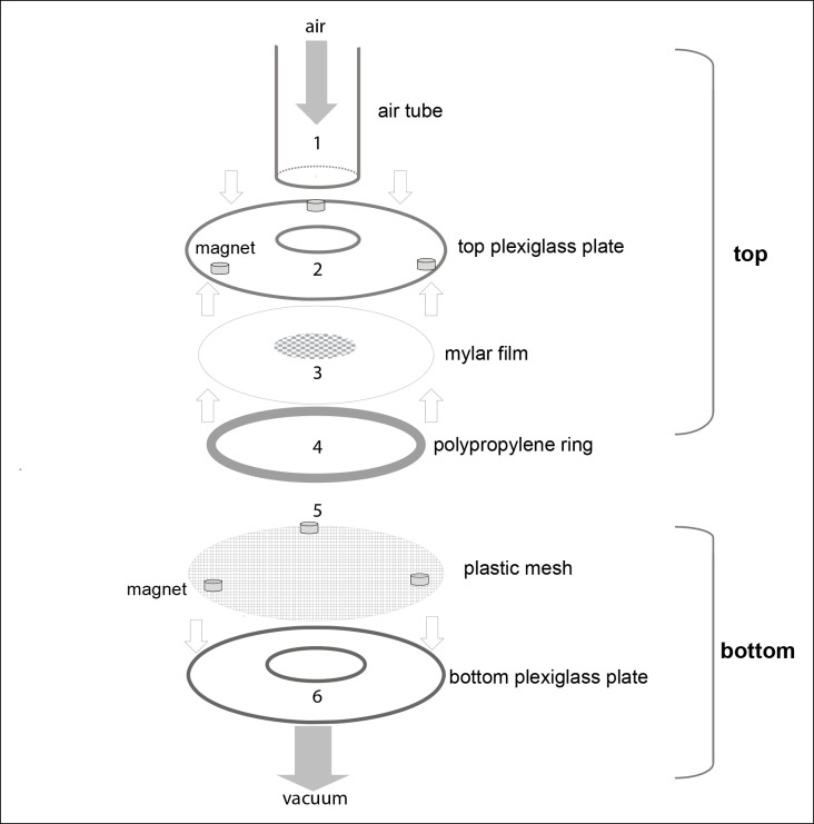 Figure 1—figure supplement 1.