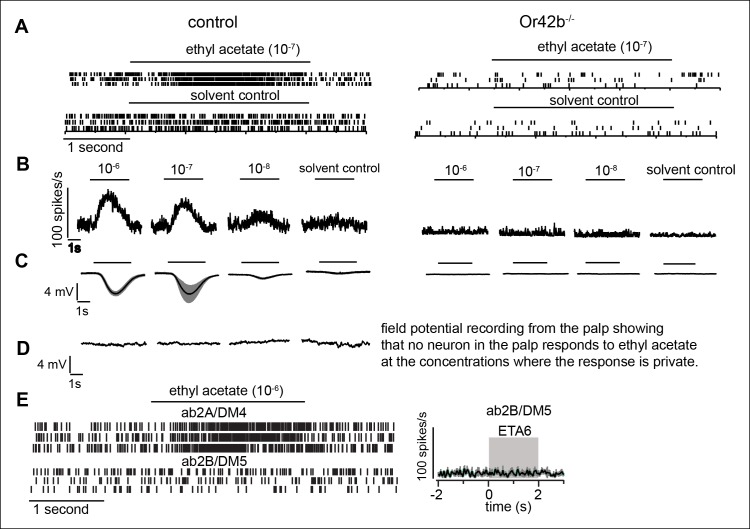 Figure 6—figure supplement 1.