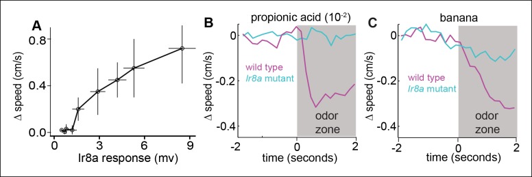 Figure 9—figure supplement 1.