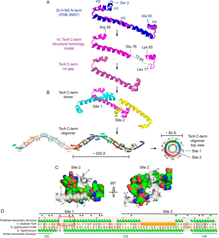 FIG 3