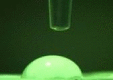 graphic file with name 41598_2021_93367_Figb_HTML.gif