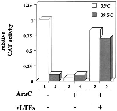 FIG. 7