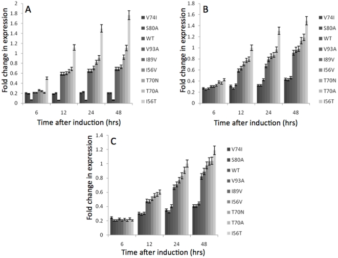 Figure 2