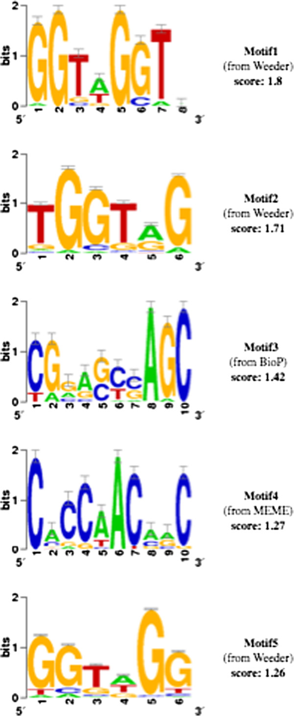 Figure 5