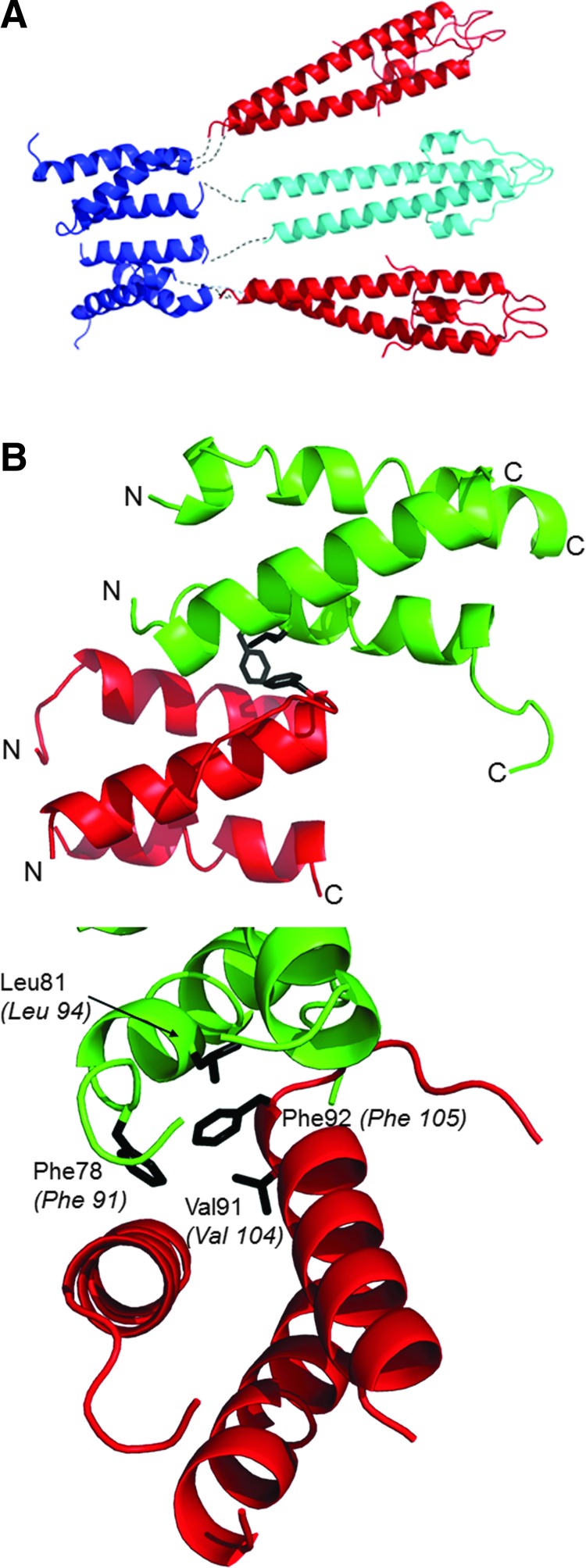 FIG. 4.