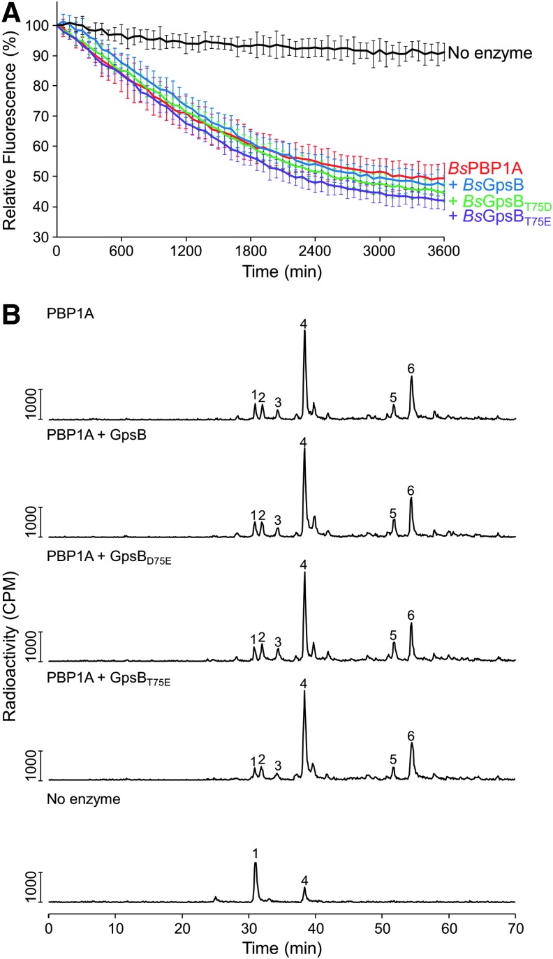 FIG. 8.