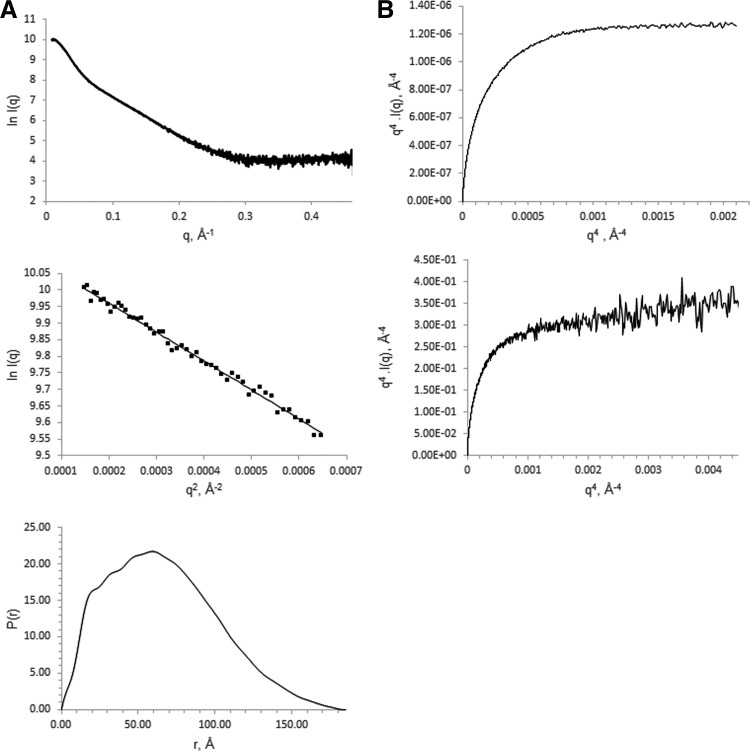 FIG. 2.