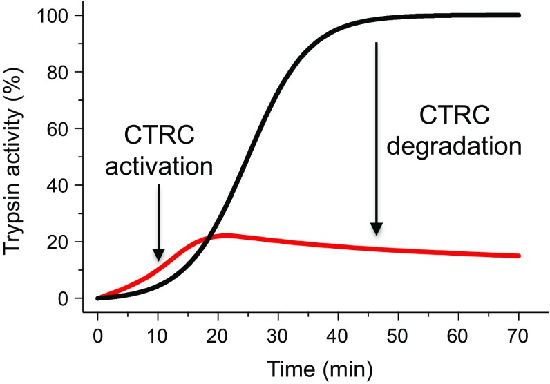 Fig. 3