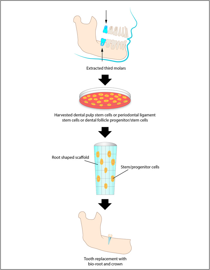 Figure 3: