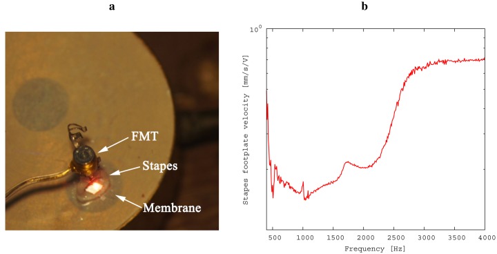 Figure 5.