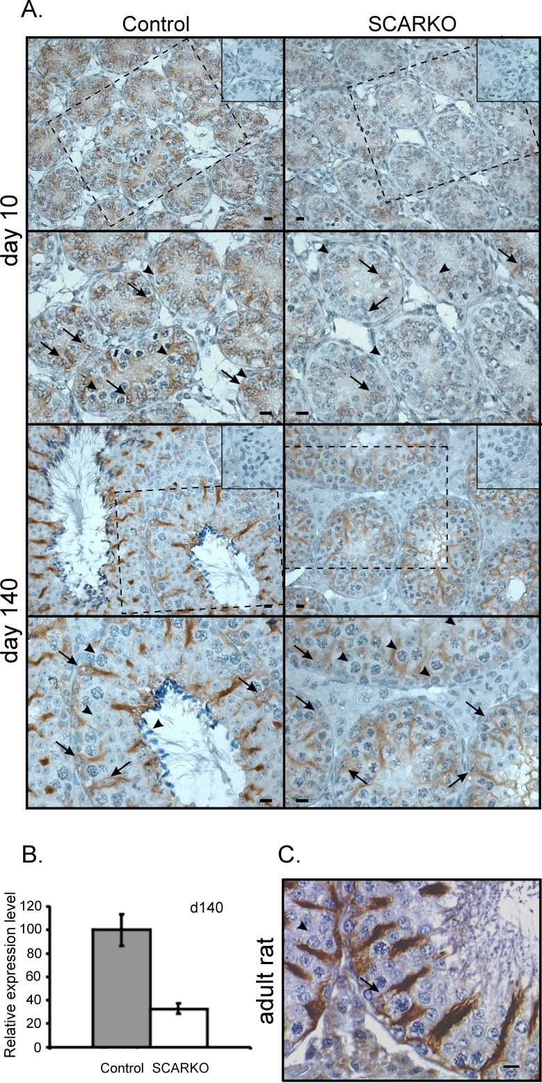 FIG. 4.