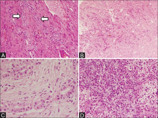 Figure 3 (A-D)