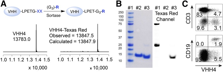 FIGURE 1.