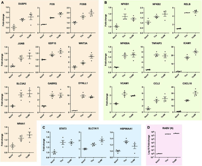 FIGURE 4