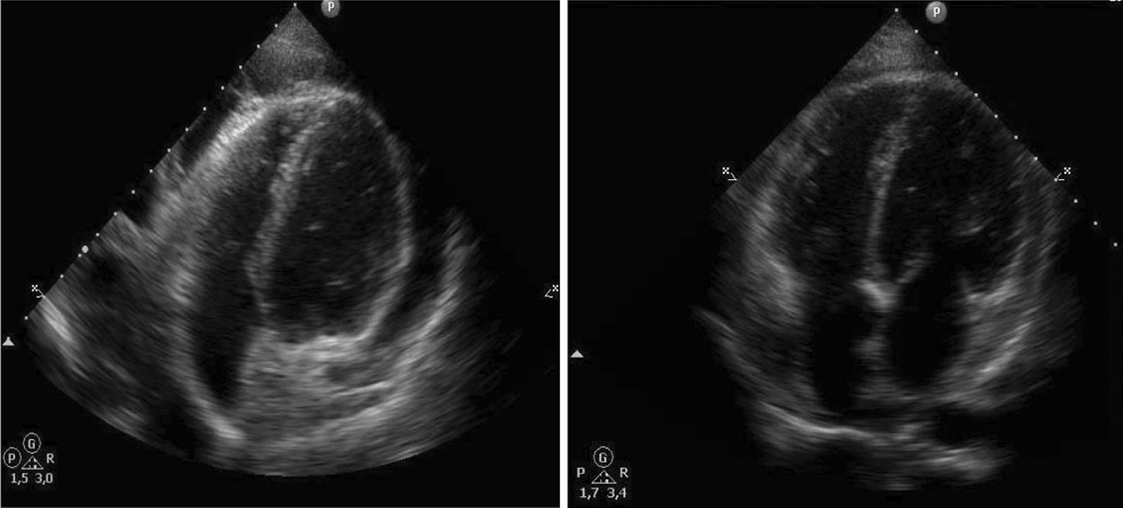 Fig. 5