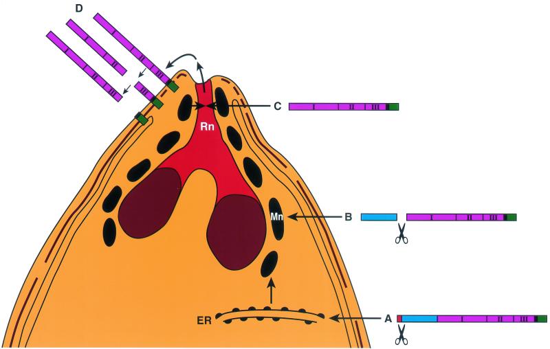 FIG. 7.