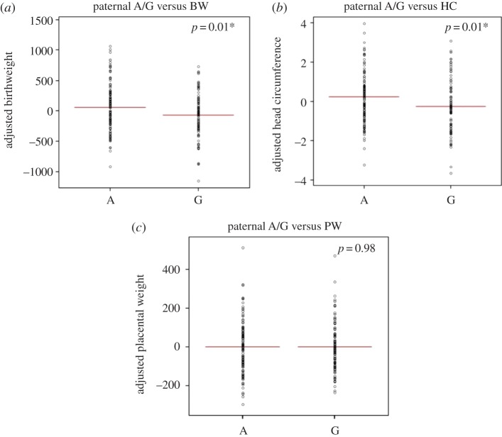 Figure 3.