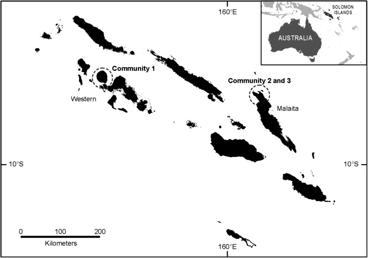 Fig. 1