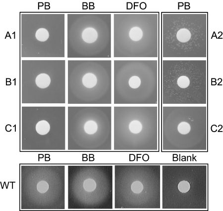 Fig. 3.