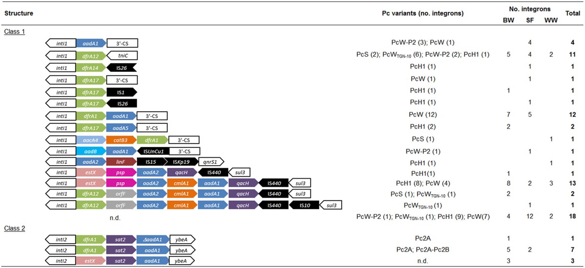 graphic file with name fmicb-05-00419-i0001.jpg