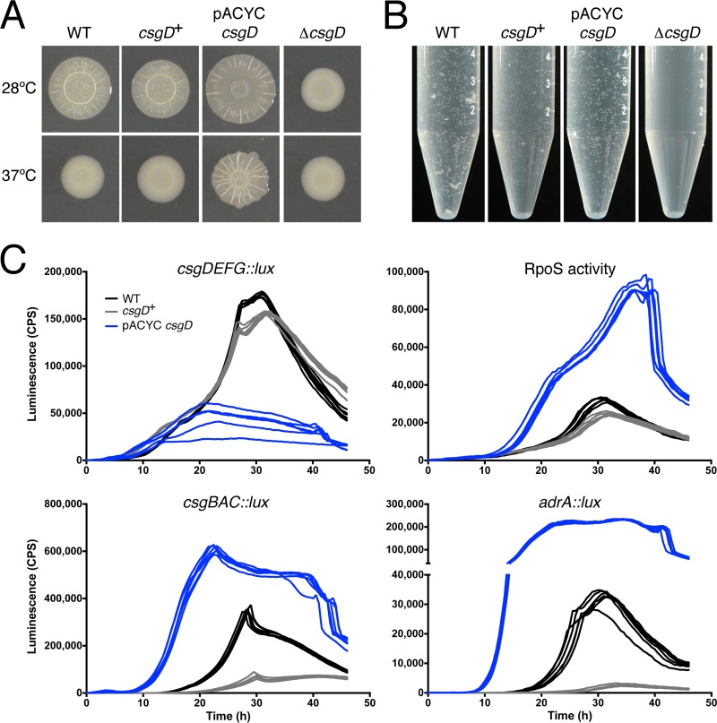 FIG 6