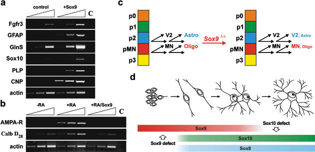 Figure 10.