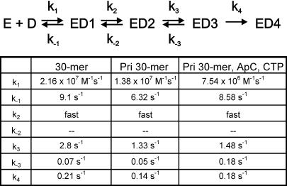 graphic file with name cdd316t2.jpg