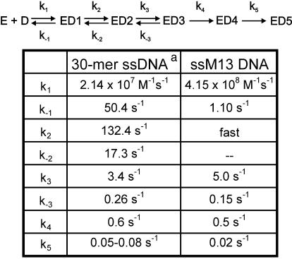 graphic file with name cdd316t1.jpg