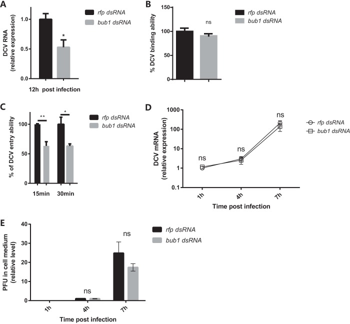 FIG 3