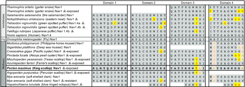 Figure 5: