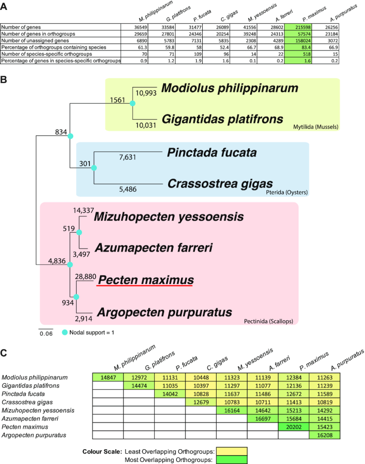 Figure 3: