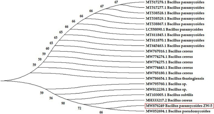 FIGURE 3