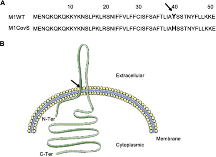 FIG 1