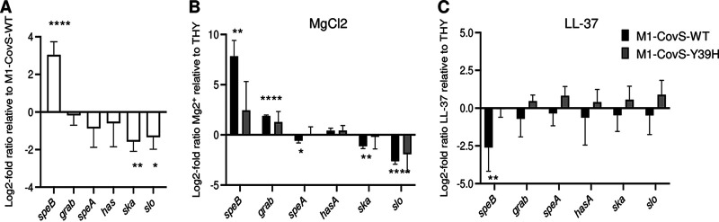 FIG 3