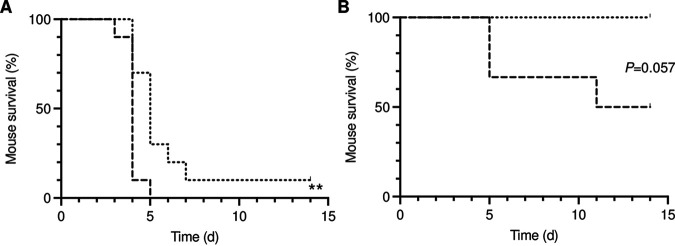 FIG 6