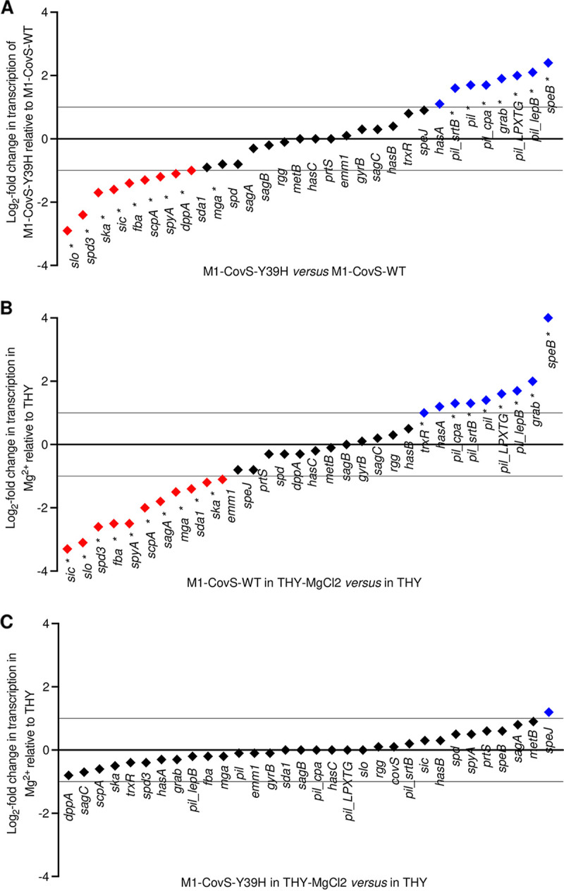 FIG 2