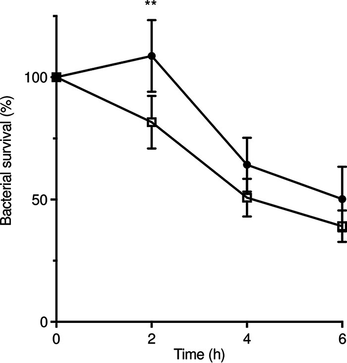 FIG 5