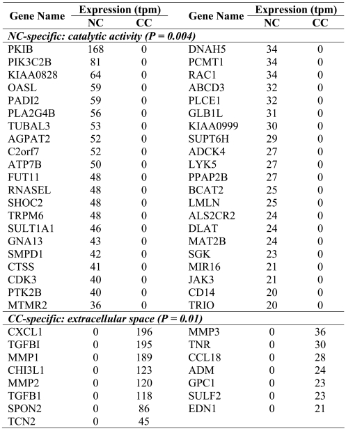 Table 2