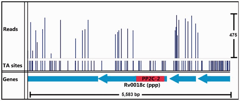 Fig. 5.