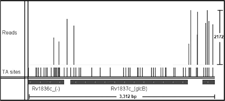 Fig. 3.