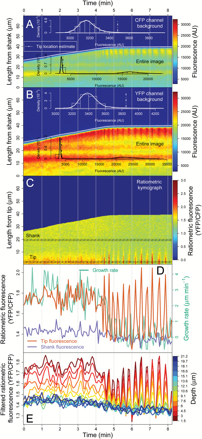 Fig. 6.