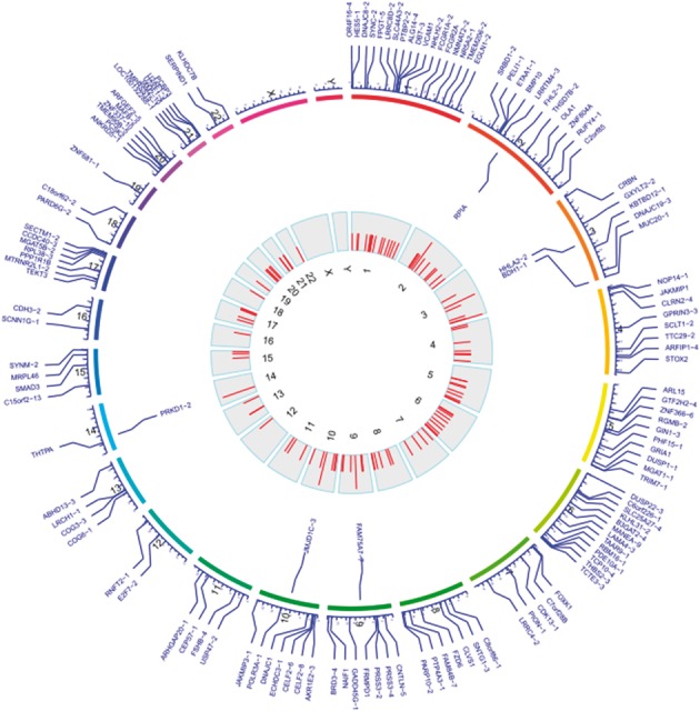 Fig. 3.