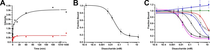 FIG 2