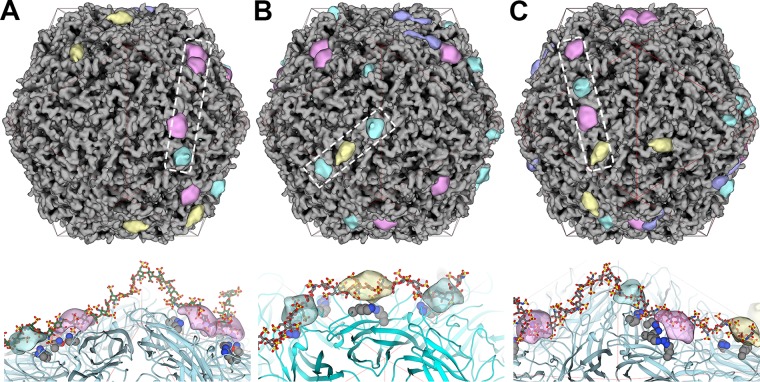 FIG 6