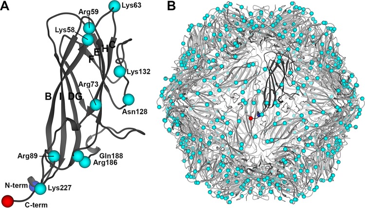 FIG 1