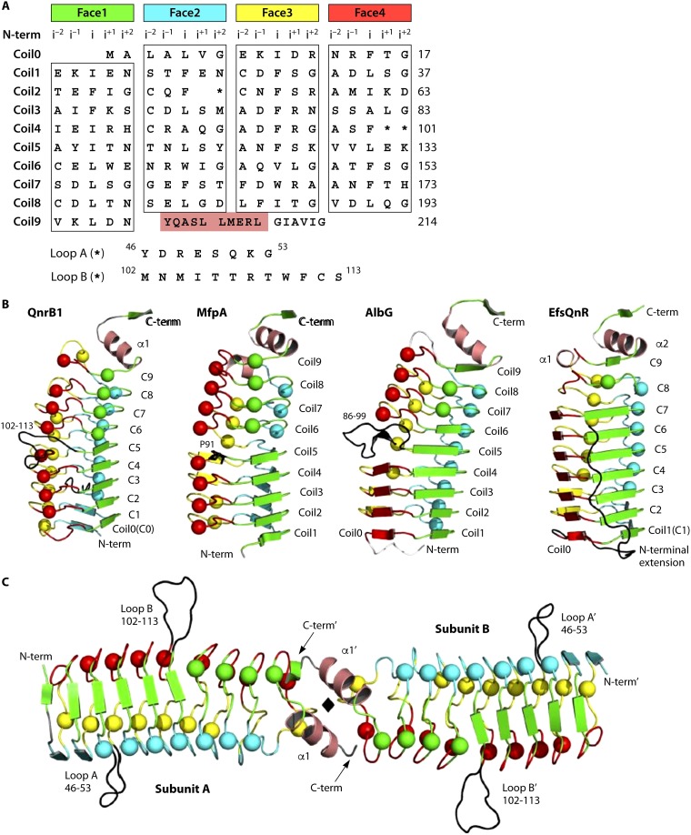 FIG 8