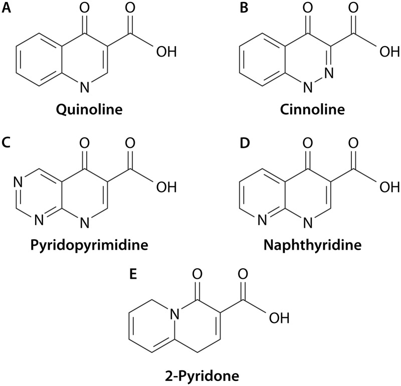 FIG 3