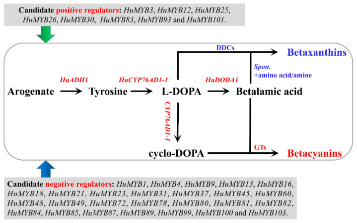 Figure 9