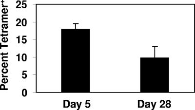 FIG. 6.